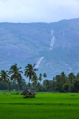 Exploring the Enchanting Backwaters: A Journey Through Kerala with Seasonz India