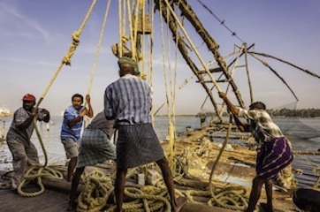 Fishermen working on chineese fishingnet kerala