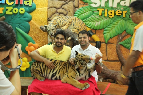 Sriracha Tiger Zoo