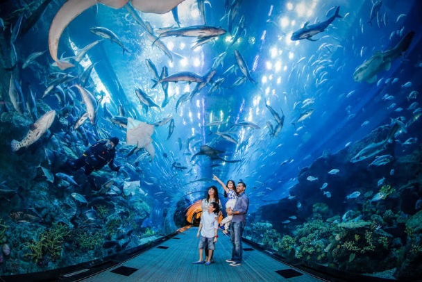 Visit Dubai Aquarium & Underwater Zoo