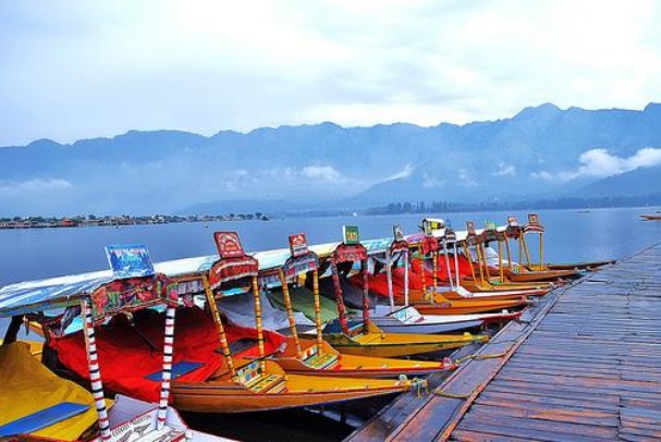 Shikara Ride in Dal Lake