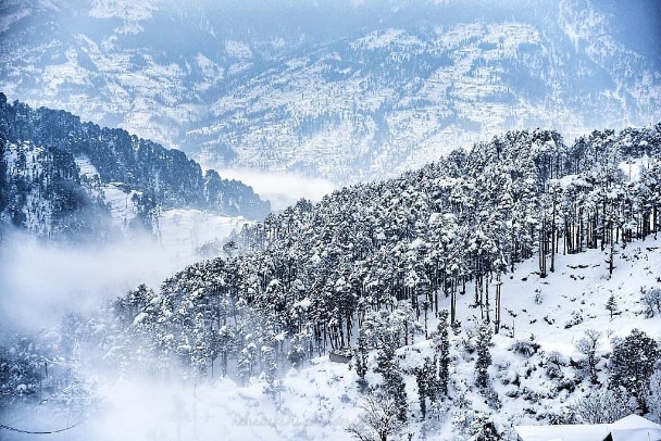 Trekk to Patnitop