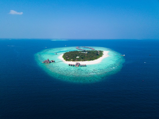 Snorkeling in Cham Island