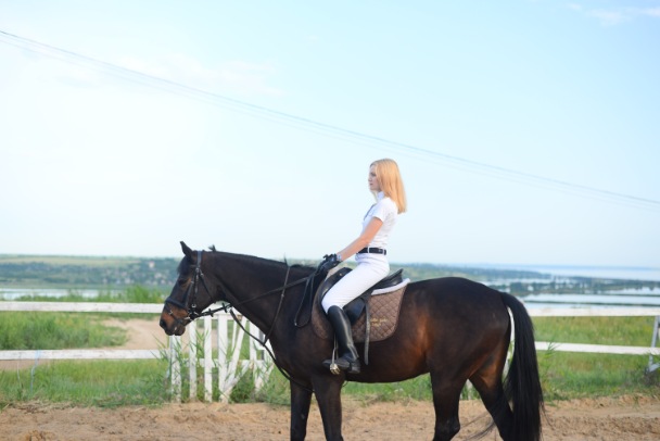 Horse Safari in Pushka