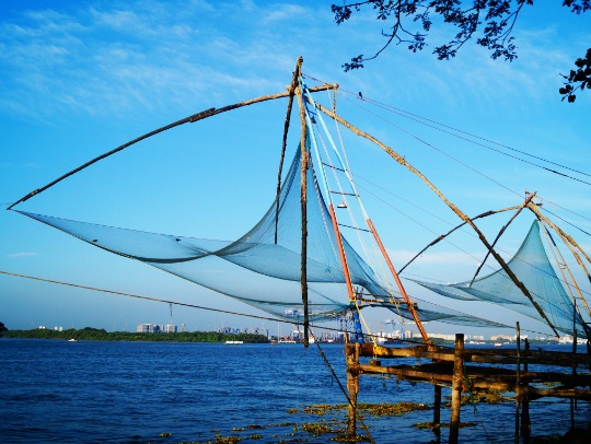 Kerala Honeymoon Packages