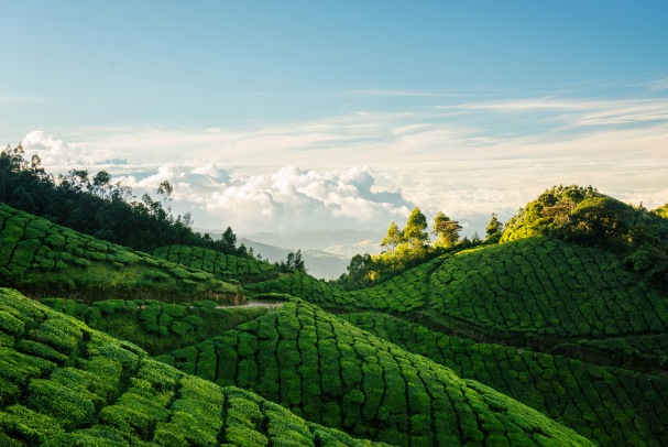 Kerala Honeymoon Packages