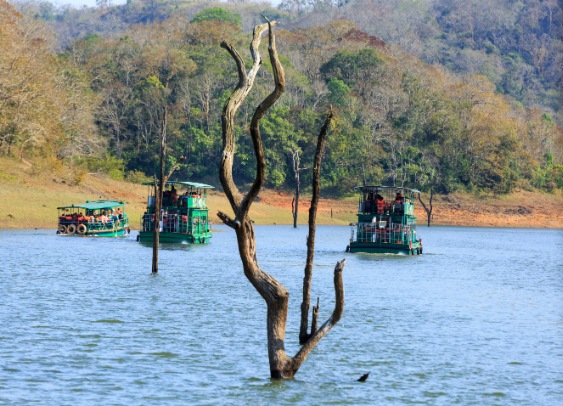 Kerala Honeymoon Packages
