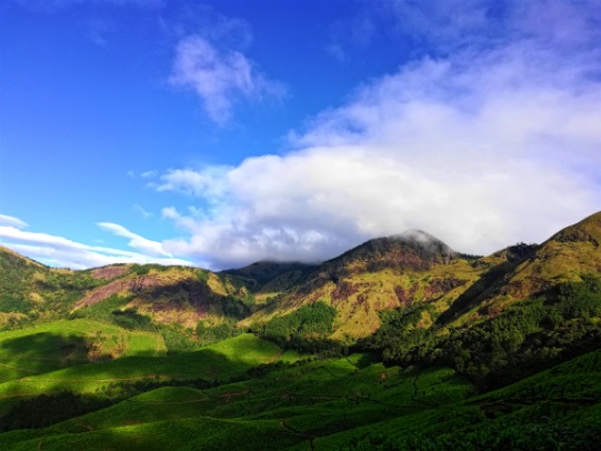 munnar tour packages