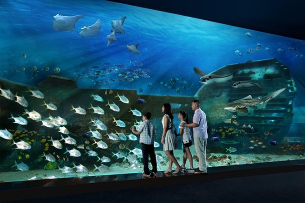 Sea Aquarium