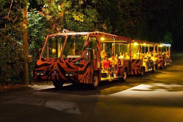 Singapore Night Safari