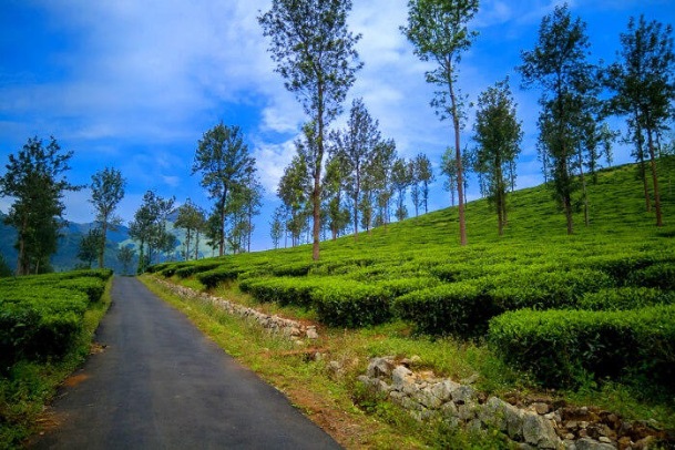 Wayanad