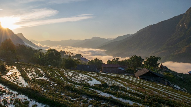 Sapa