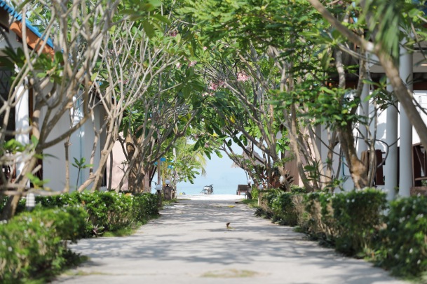 Mauritius National Botanical Garden