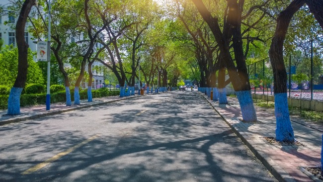 Ranthambore National Park