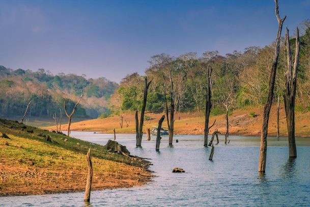 Periyar National Park