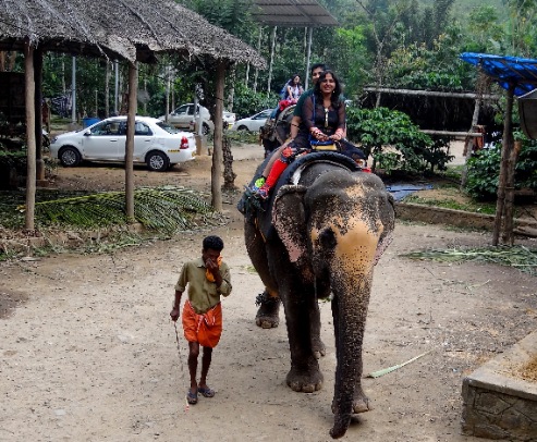 Elephant Ride