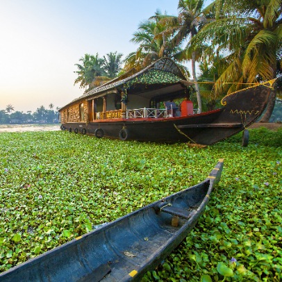 Alleppey Backwater