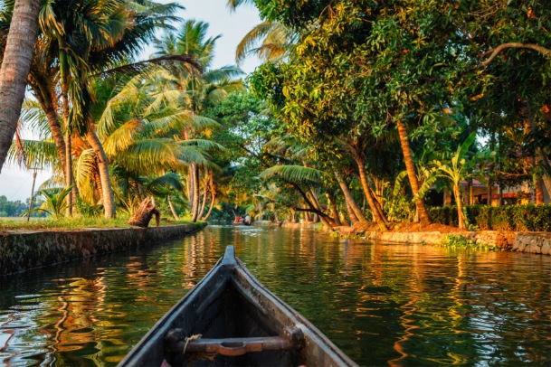 Kumarakom Backwaters