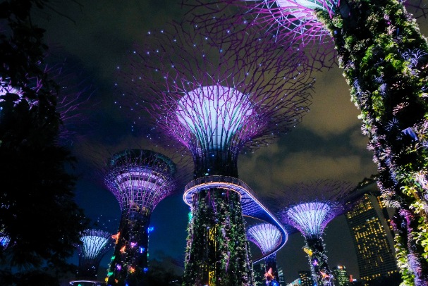 Gardens by the Bay