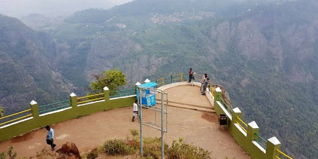 Gaze from Dolphin's nose