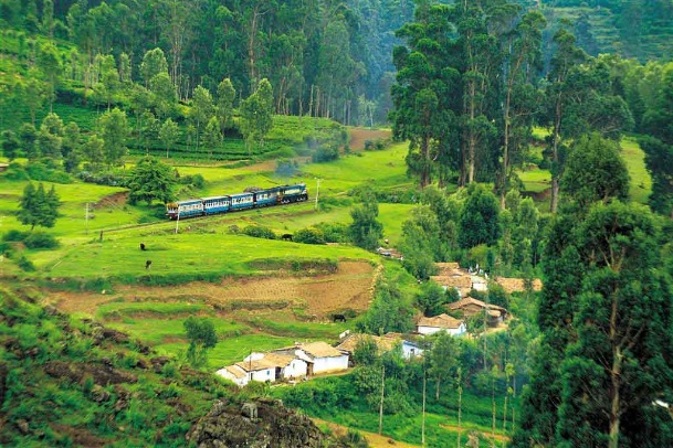 logan camp ooty