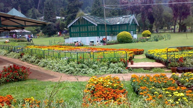 Botanical Garden ooty