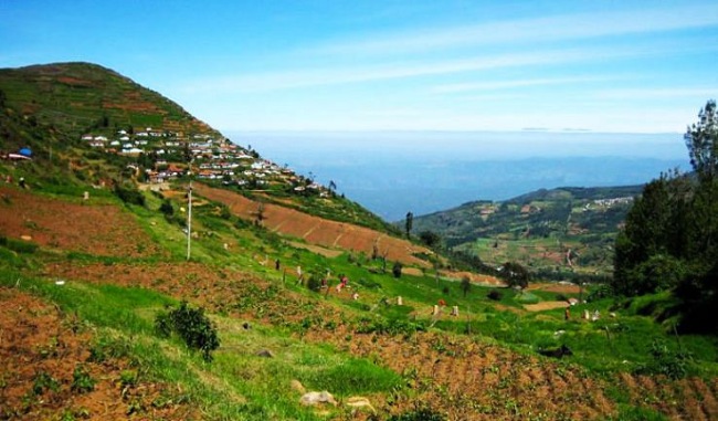 Doddabetta Peak in Ooty