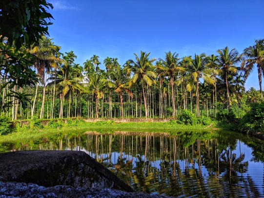 Places to visit in Kerala