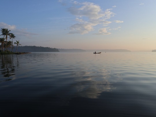 cochin to munnar