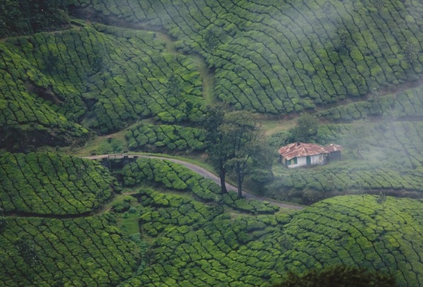 Must-do Activities on your Honeymoon Trip to Kerala