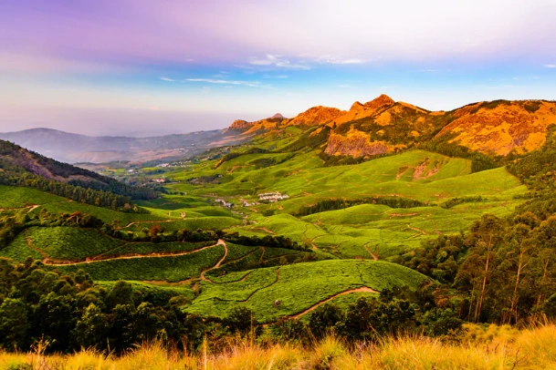 Best things to do on your honeymoon in Munnar