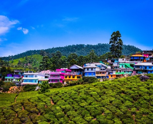 8 Scenic Tourist Attraction in Munnar