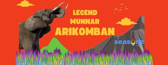 About Munnar Arikomban