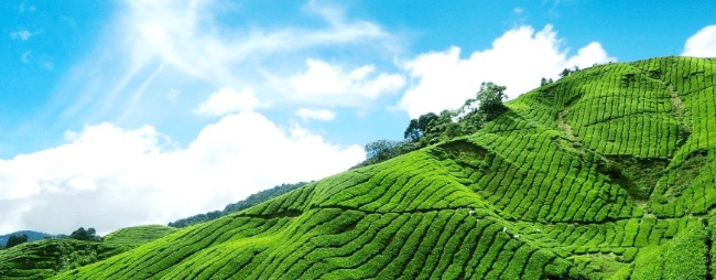 Munnar Coldest Place in South India -