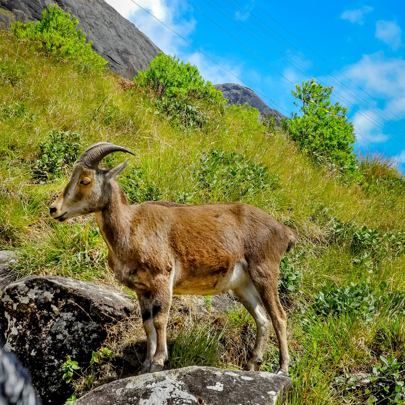 munnar tour packages for 7 days