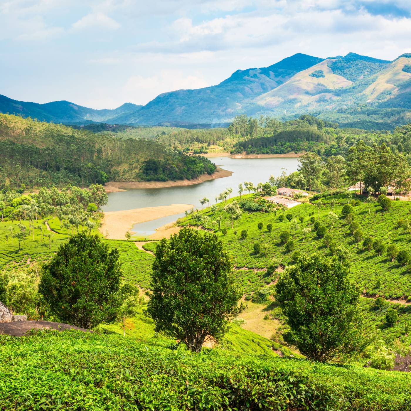 ktdc tour packages munnar