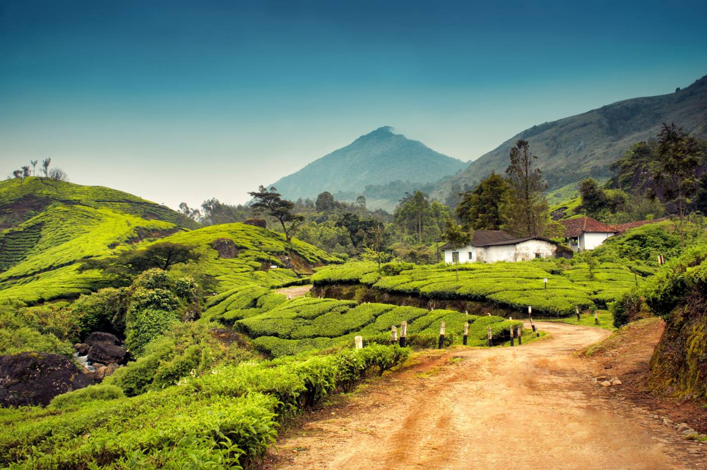 munnar tour packages for 2 days