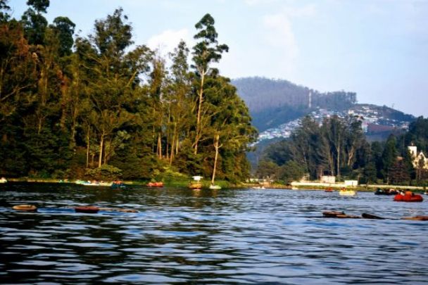 Ooty Honeymoon Packages