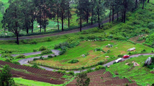 Ooty Honeymoon Packages