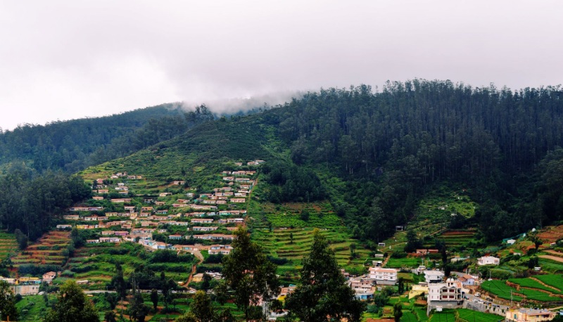 ooty tour packages