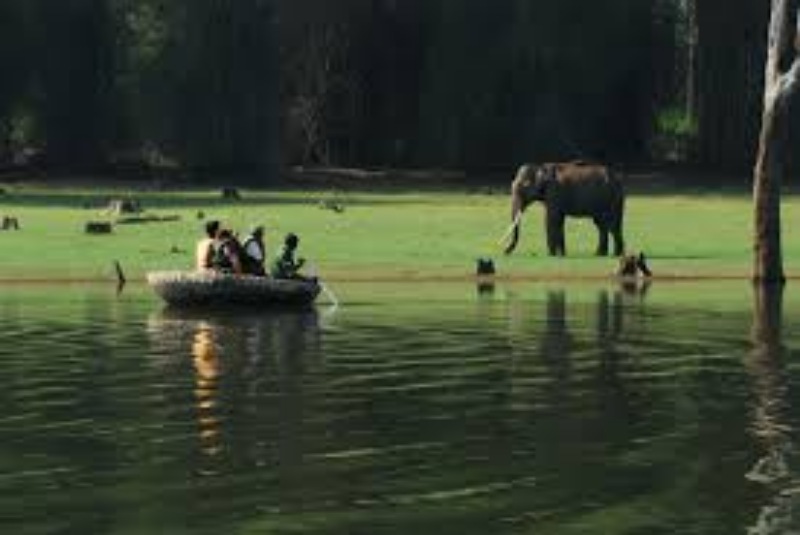 munnar tour packages for couple