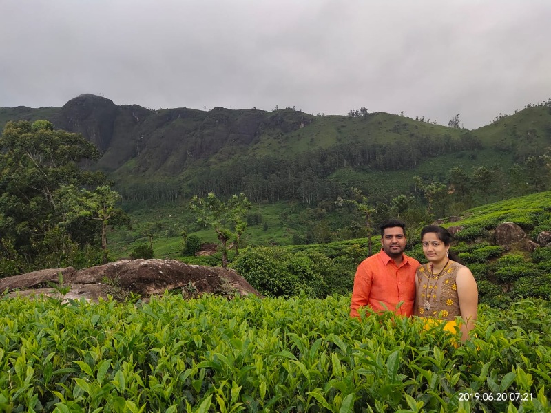 Munnar Honeymoon Package - Blackberry