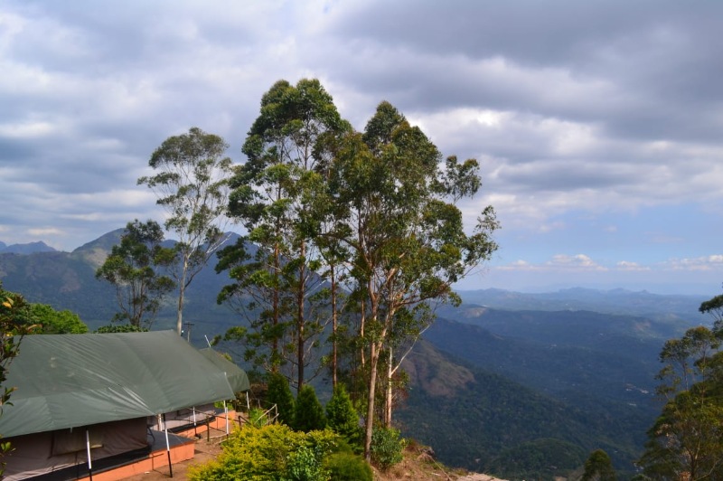 Munnar Tree House Honeymoon Packages