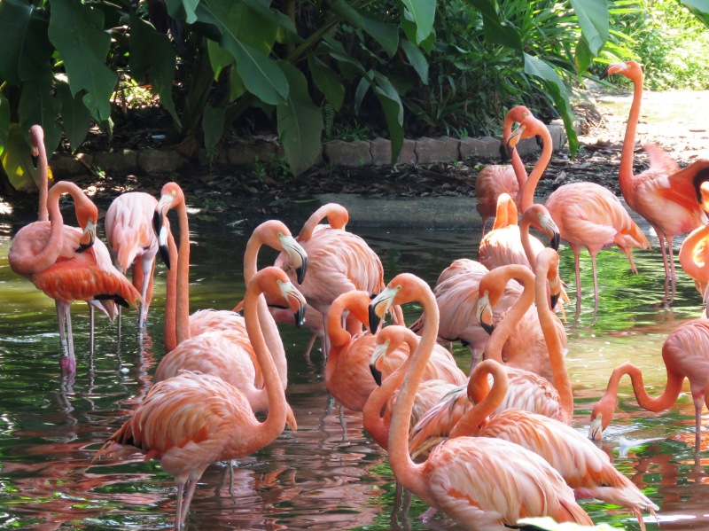 Magical Singapore Honeymoon Packages