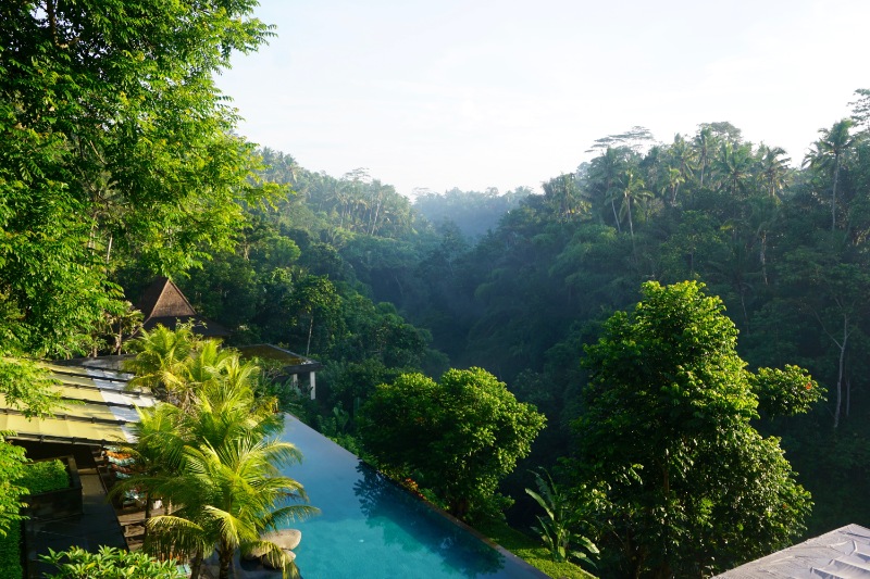 Singapore Bali Honeymoon Packages