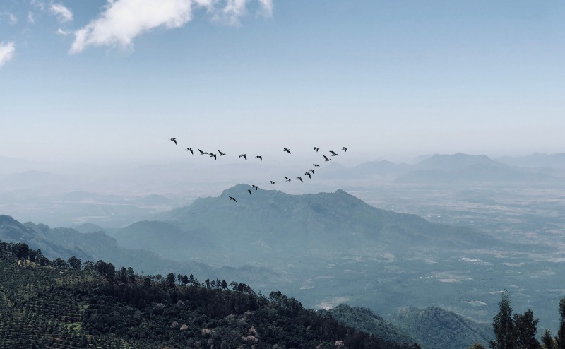 2 Days Ooty Tour Package from Bangalore