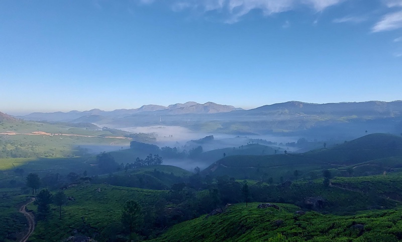 5 Days Munnar Luxury Package
