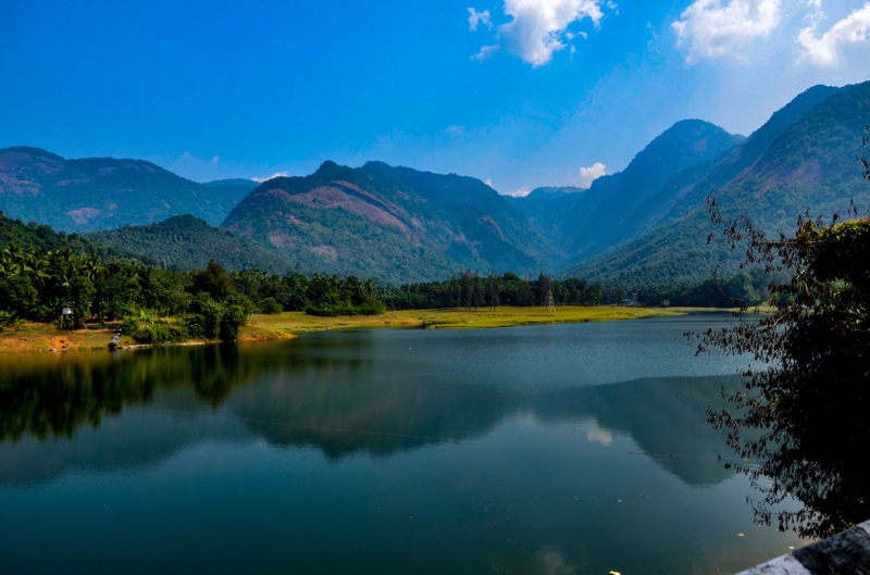 munnar tour packages for 7 days