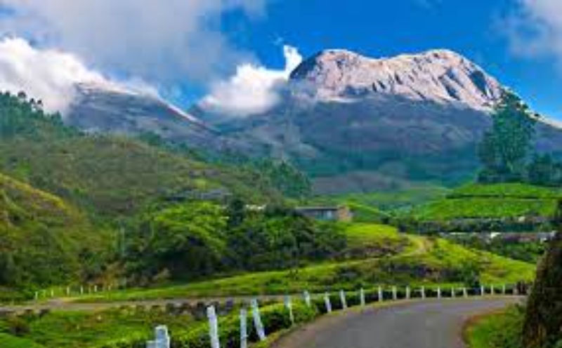 munnar tour packages for 7 days