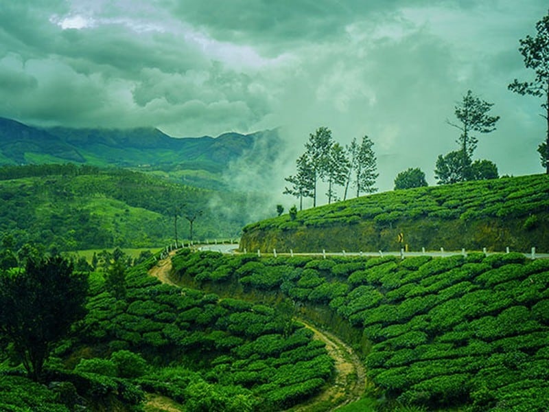 Kerala Tour Packages from Pune